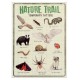 Tatoveringer - Nature Trail (2 ark)