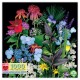 eeBoo puslespil - En sommerhave - 1000 brikker