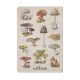 Notesbog - A5 - Vintage Mushrooms
