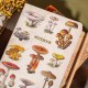 Notesbog - A5 - Vintage Mushrooms