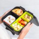Montii Bento Bite Tray - Matcha