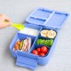 Montii Bento Bite - Splash