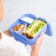 Montii Bento Bite - Splash
