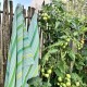 Solwang viskestykke - Frisk grøn mix