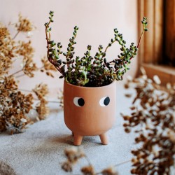 Terracotta potteskjuler - H10 cm - Little Leggy