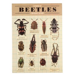 Tatoveringer - Beetles (2 ark)